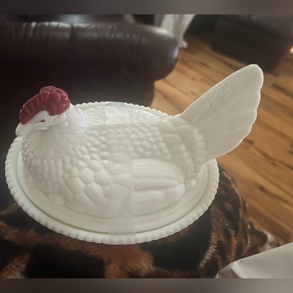 Hen on a nest